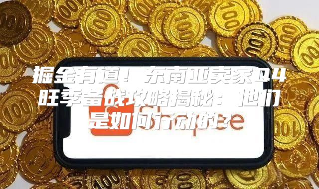掘金有道！东南亚卖家Q4旺季备战攻略揭秘：他们是如何行动的？