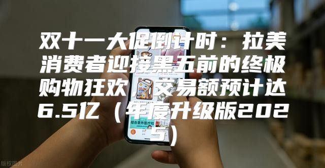 双十一大促倒计时：拉美消费者迎接黑五前的终极购物狂欢，交易额预计达6.5亿年度升级版2025