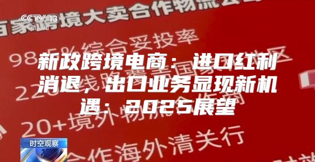 新政跨境电商：进口红利消退，出口业务显现新机遇：2025展望