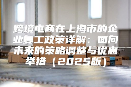 跨境电商在上海市的企业复工政策详解：面向未来的策略调整与优惠举措2025版