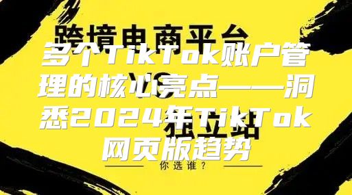 多个TikTok账户管理的核心亮点——洞悉2025年TikTok网页版趋势