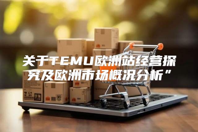 关于TEMU欧洲站经营探究及欧洲市场概况分析”