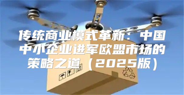 传统商业模式革新：中国中小企业进军欧盟市场的策略之道2025版