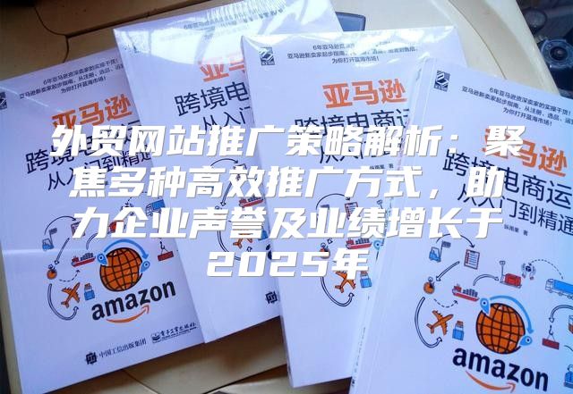 外贸网站推广策略解析：聚焦多种高效推广方式，助力企业声誉及业绩增长于2025年