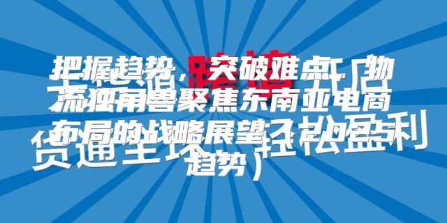 把握趋势，突破难点，物流独角兽聚焦东南亚电商布局的战略展望2025趋势