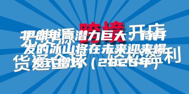 伊朗电商潜力巨大：待开发的冰山将在未来迎来爆发式增长2025年