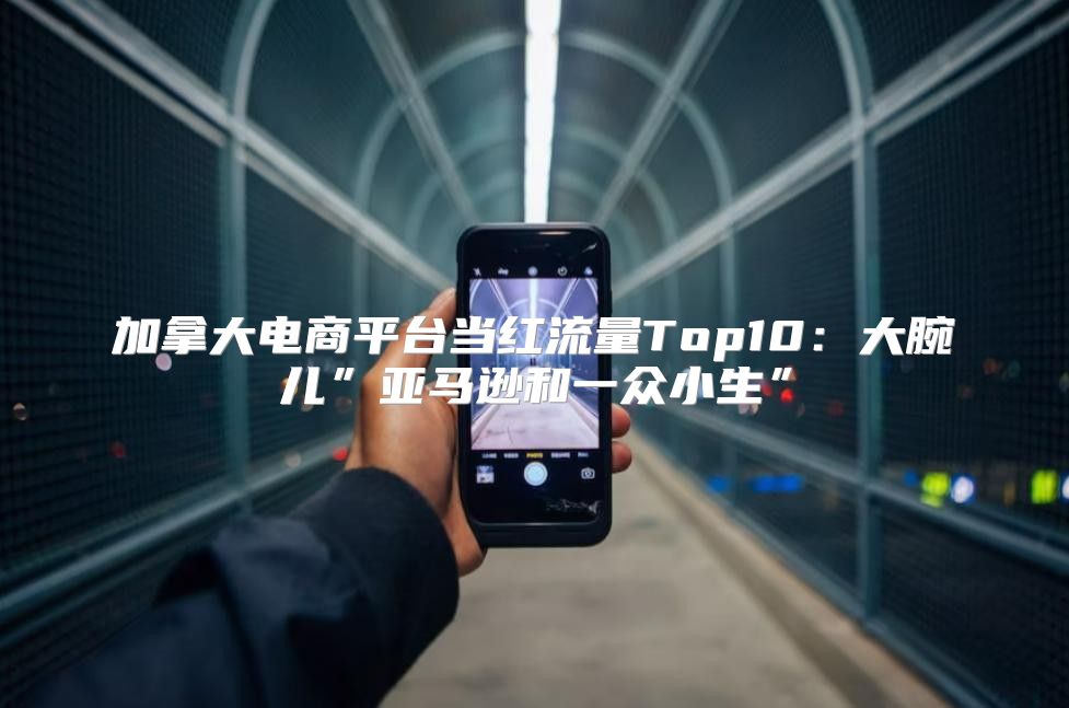 加拿大电商平台当红流量Top10：大腕儿”亚马逊和一众小生”