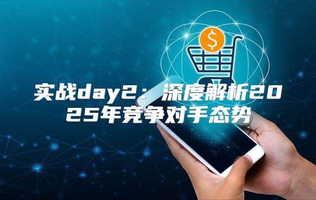 实战day2：深度解析2025年竞争对手态势
