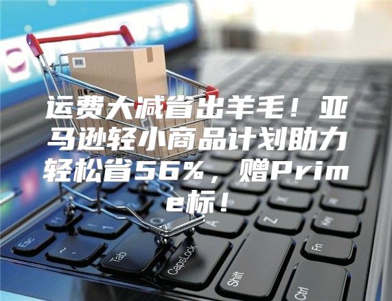 运费大减省出羊毛！亚马逊轻小商品计划助力轻松省56%，赠Prime标！