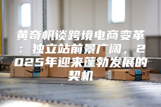 黄奇帆谈跨境电商变革：独立站前景广阔，2025年迎来蓬勃发展的契机