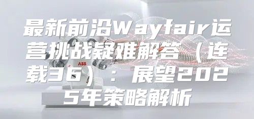 最新前沿Wayfair运营挑战疑难解答连载36：展望2025年策略解析