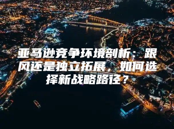 亚马逊竞争环境剖析：跟风还是独立拓展，如何选择新战略路径？