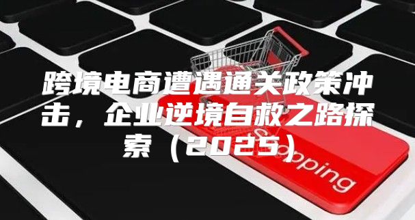 跨境电商遭遇通关政策冲击，企业逆境自救之路探索2025