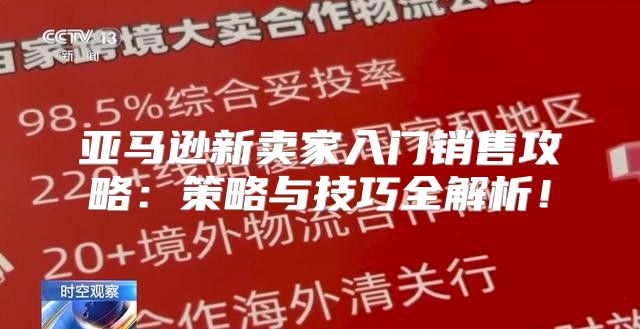 亚马逊新卖家入门销售攻略：策略与技巧全解析！