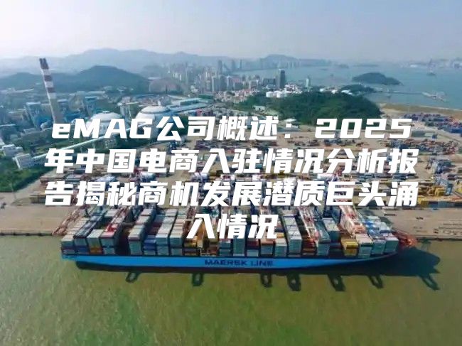 eMAG公司概述：2025年中国电商入驻情况分析报告揭秘商机发展潜质巨头涌入情况