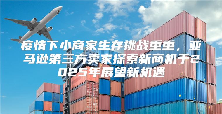 疫情下小商家生存挑战重重，亚马逊第三方卖家探索新商机于2025年展望新机遇