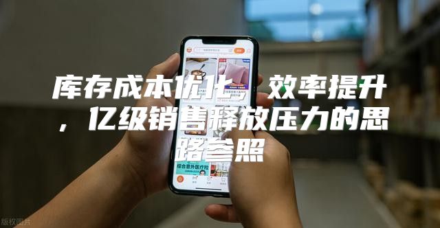 库存成本优化，效率提升，亿级销售释放压力的思路参照