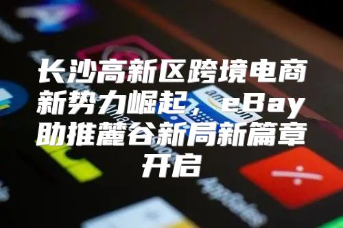 长沙高新区跨境电商新势力崛起，eBay助推麓谷新局新篇章开启