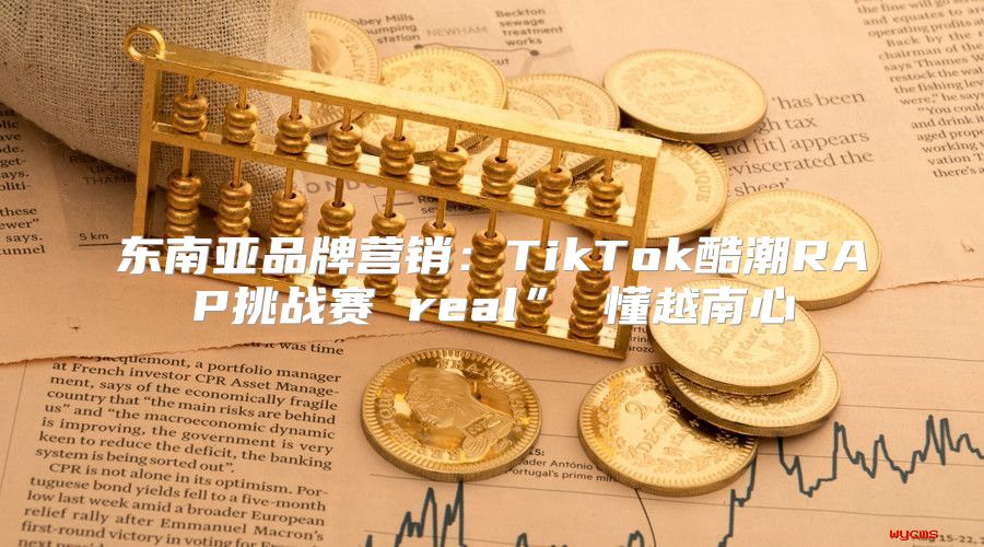 东南亚品牌营销：TikTok酷潮RAP挑战赛 real” 懂越南心