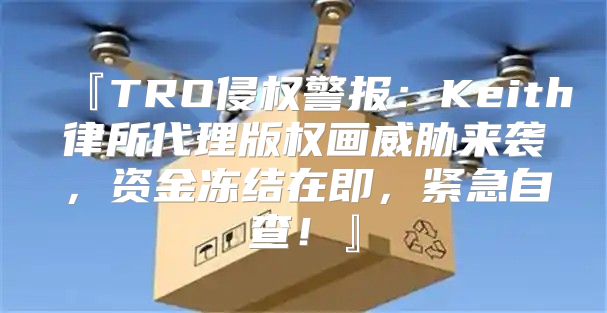 『TRO侵权警报：Keith律所代理版权画威胁来袭，资金冻结在即，紧急自查！』