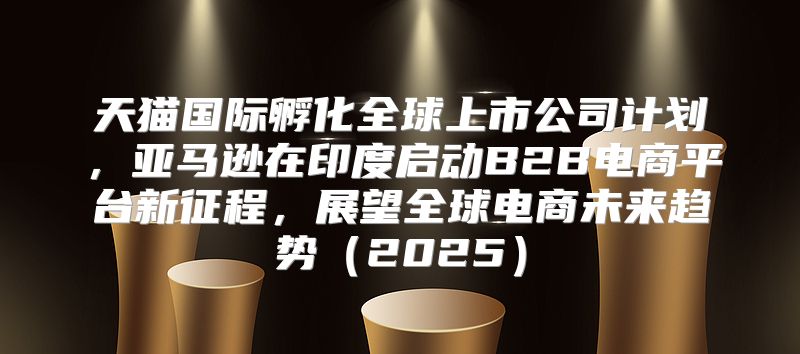 天猫国际孵化全球上市公司计划，亚马逊在印度启动B2B电商平台新征程，展望全球电商未来趋势2025