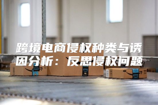 跨境电商侵权种类与诱因分析：反思侵权问题