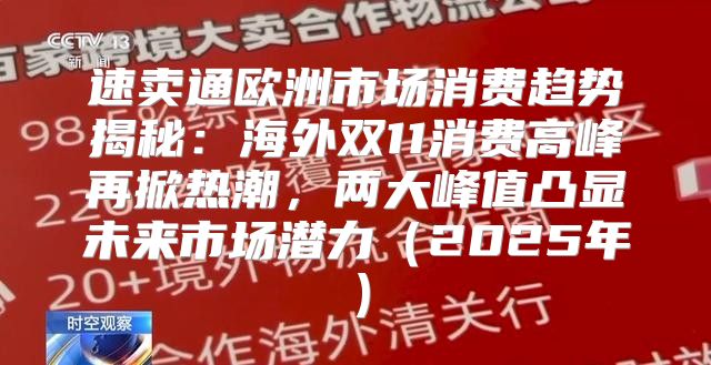 速卖通欧洲市场消费趋势揭秘：海外双11消费高峰再掀热潮，两大峰值凸显未来市场潜力2025年