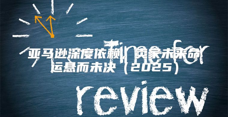 亚马逊深度依赖，卖家未来命运悬而未决2025