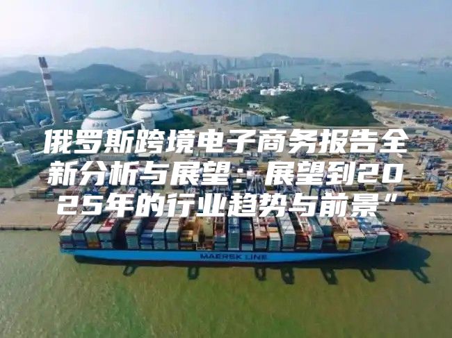 俄罗斯跨境电子商务报告全新分析与展望：展望到2025年的行业趋势与前景”