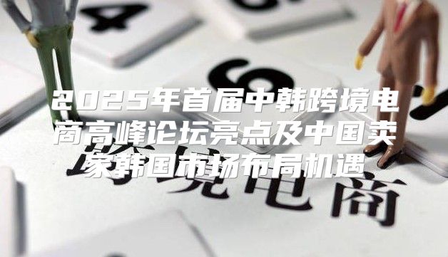 2025年首届中韩跨境电商高峰论坛亮点及中国卖家韩国市场布局机遇