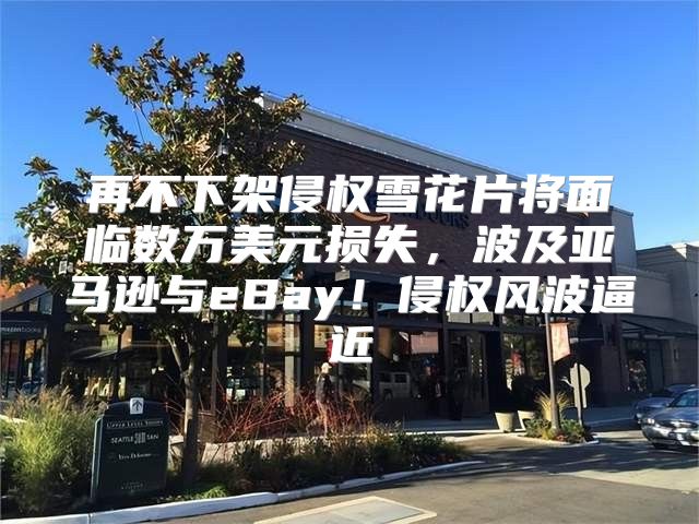 再不下架侵权雪花片将面临数万美元损失，波及亚马逊与eBay！侵权风波逼近