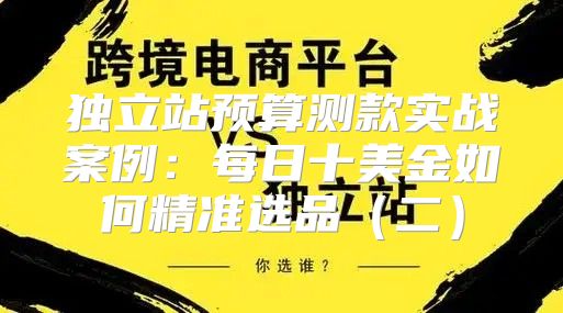 独立站预算测款实战案例：每日十美金如何精准选品二