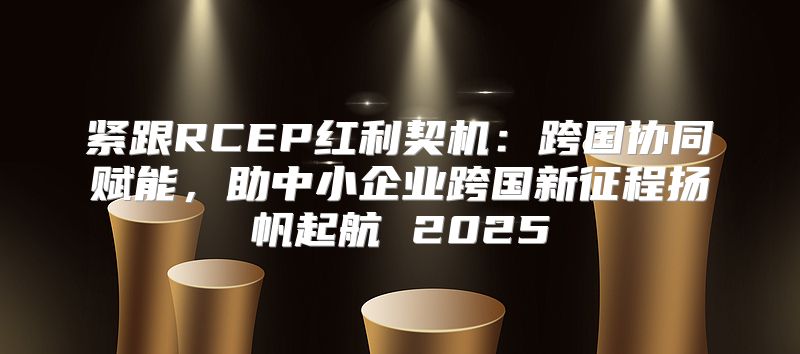 紧跟RCEP红利契机：跨国协同赋能，助中小企业跨国新征程扬帆起航 2025