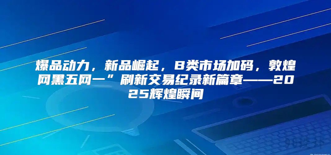 爆品动力，新品崛起，B类市场加码，敦煌网黑五网一”刷新交易纪录新篇章——2025辉煌瞬间