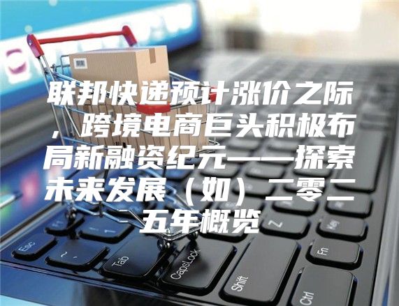 联邦快递预计涨价之际，跨境电商巨头积极布局新融资纪元——探索未来发展如二零二五年概览
