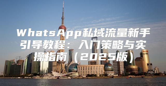 WhatsApp私域流量新手引导教程：入门策略与实操指南2025版