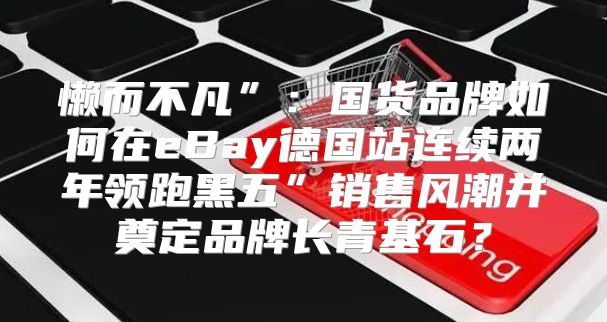 懒而不凡”：国货品牌如何在eBay德国站连续两年领跑黑五”销售风潮并奠定品牌长青基石？