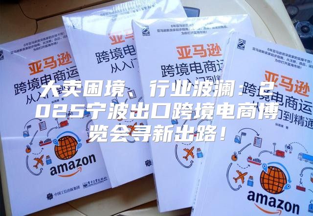 大卖困境、行业波澜：2025宁波出口跨境电商博览会寻新出路！