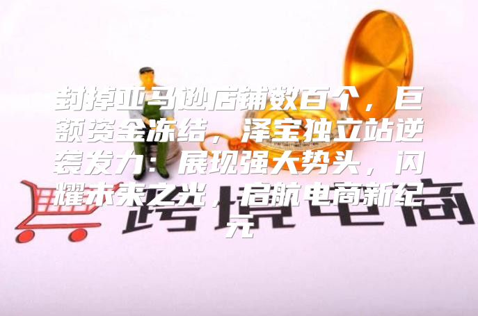封掉亚马逊店铺数百个，巨额资金冻结，泽宝独立站逆袭发力：展现强大势头，闪耀未来之光，启航电商新纪元