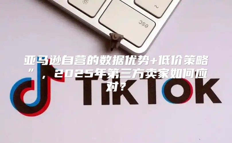 亚马逊自营的数据优势+低价策略”，2025年第三方卖家如何应对？