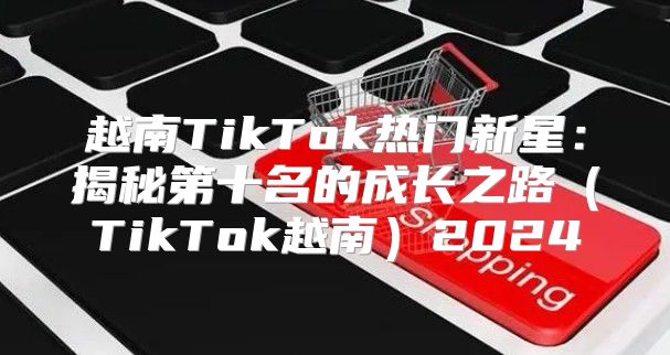 越南TikTok热门新星：揭秘第十名的成长之路TikTok越南2025
