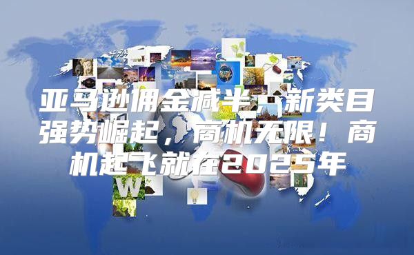亚马逊佣金减半，新类目强势崛起，商机无限！商机起飞就在2025年