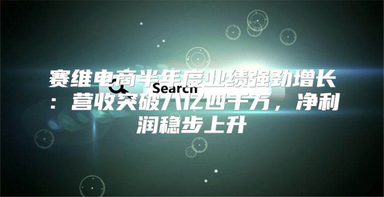 赛维电商半年度业绩强劲增长：营收突破八亿四千万，净利润稳步上升