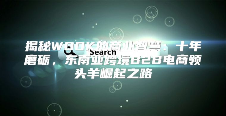 揭秘WOOK的商业智慧：十年磨砺，东南亚跨境B2B电商领头羊崛起之路
