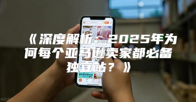 深度解析：2025年为何每个亚马逊卖家都必备独立站？