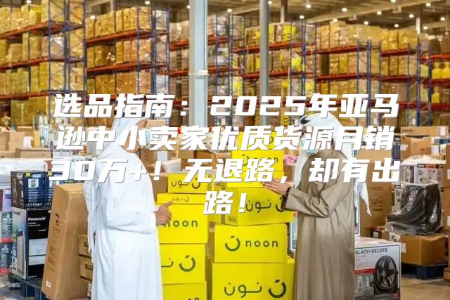 选品指南：2025年亚马逊中小卖家优质货源月销30万+！无退路，却有出路！