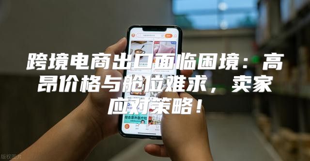 跨境电商出口面临困境：高昂价格与舱位难求，卖家应对策略！