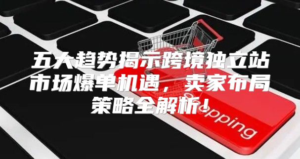 五大趋势揭示跨境独立站市场爆单机遇，卖家布局策略全解析！