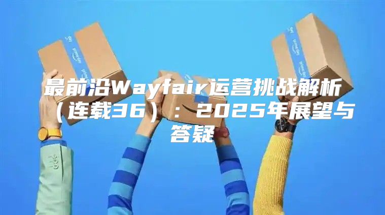 最前沿Wayfair运营挑战解析连载36：2025年展望与答疑