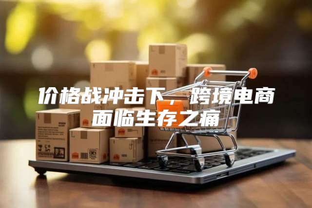 价格战冲击下，跨境电商面临生存之痛